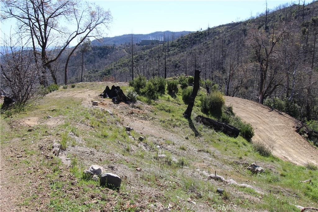 10155 Socrates Mine Road Middletown, CA 95461 - Photo 52 of 69 a view of outdoor space and tree