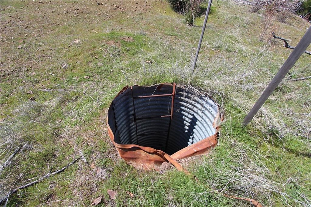 10155 Socrates Mine Road Middletown, CA 95461 - Photo 55 of 69 a close up of a plant in a garden