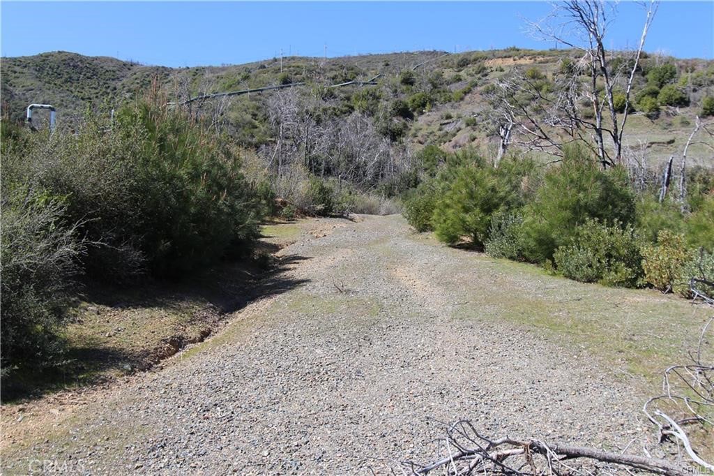 10155 Socrates Mine Road Middletown, CA 95461 - Photo 56 of 69 a view of a dry yard with trees in the background