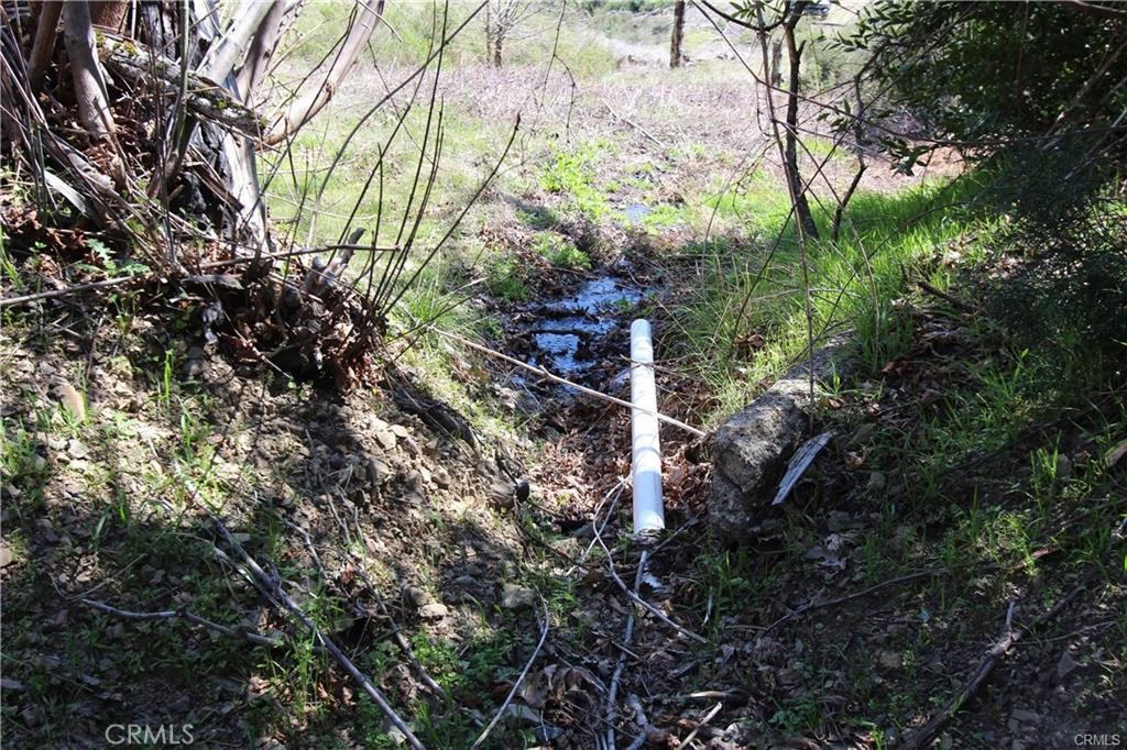 10155 Socrates Mine Road Middletown, CA 95461 - Photo 60 of 69 a view of a house with a tree