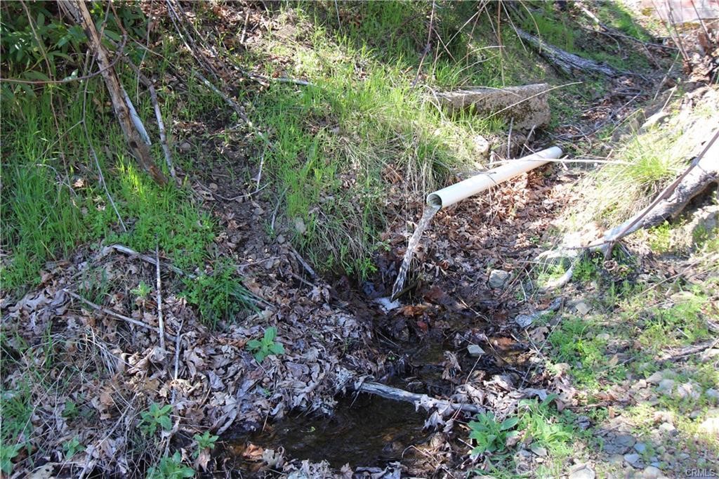 10155 Socrates Mine Road Middletown, CA 95461 - Photo 61 of 69 a view of a garden with plants and large trees