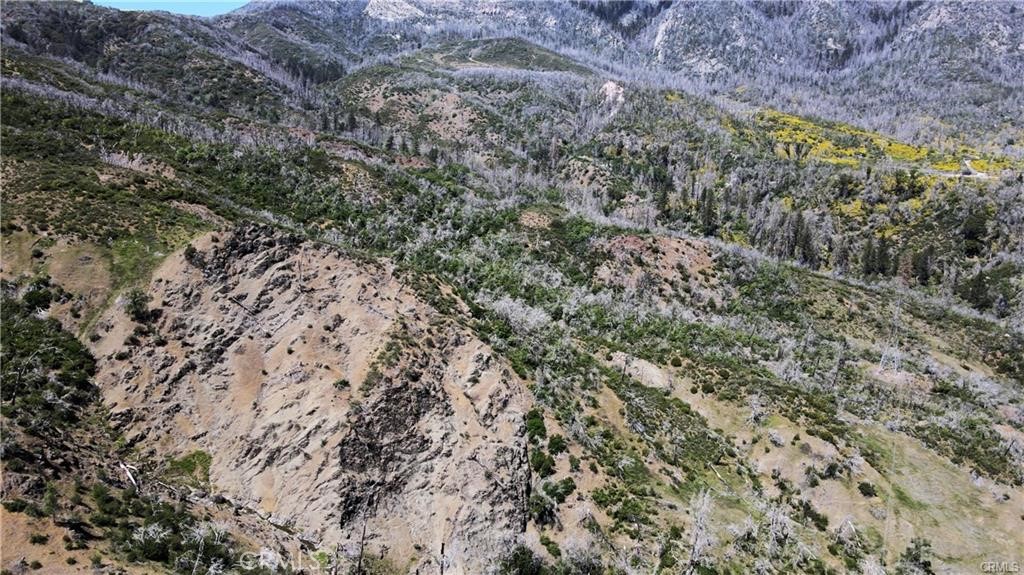 10155 Socrates Mine Road Middletown, CA 95461 - Photo 66 of 69 a view of a field with plants and trees