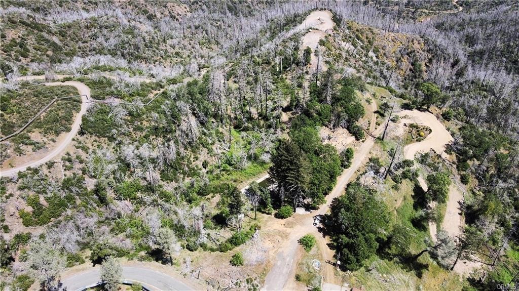 10155 Socrates Mine Road Middletown, CA 95461 - Photo 67 of 69 a view of a yard with a tree