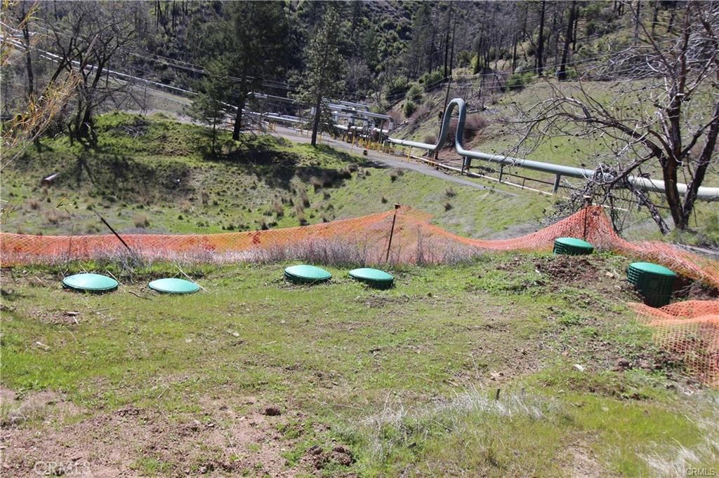 10155 Socrates Mine Road Middletown, CA 95461 - Photo 7 of 69 a view of a backyard with plants and large trees