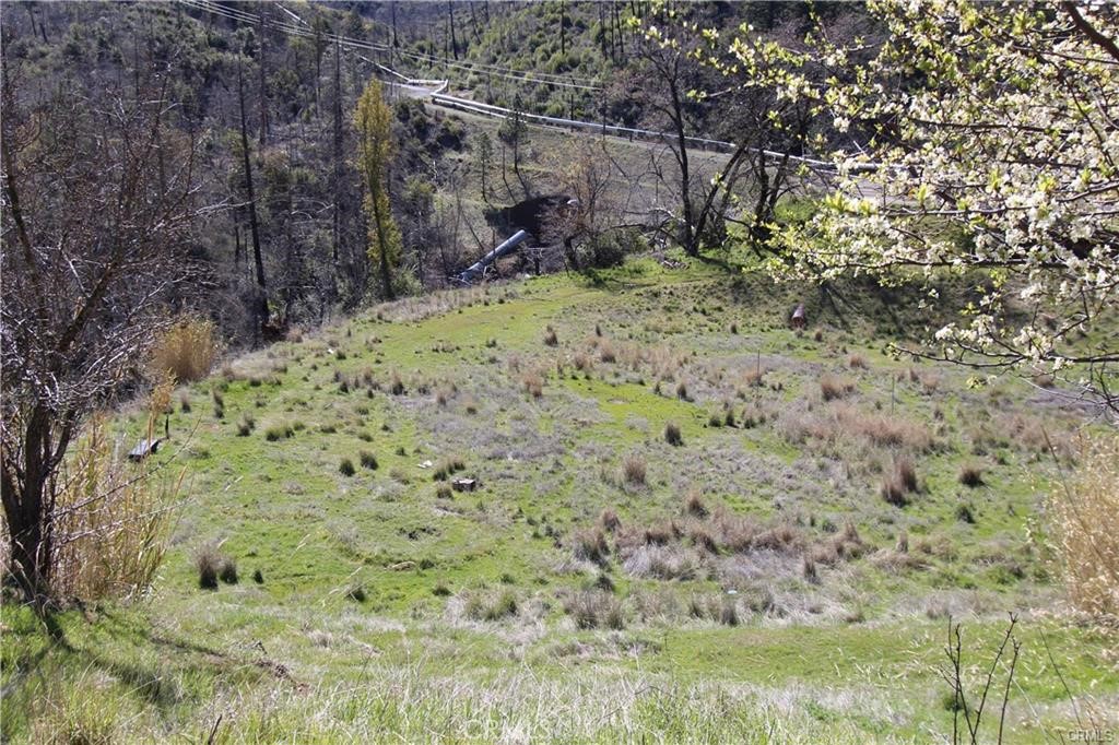 10155 Socrates Mine Road Middletown, CA 95461 - Photo 8 of 69 a view of a yard with a tree