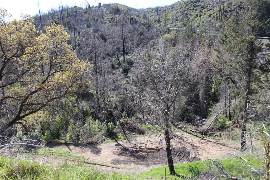 10155 Socrates Mine Road Middletown, CA 95461 - Photo 9 of 69 a view of a forest filled with trees