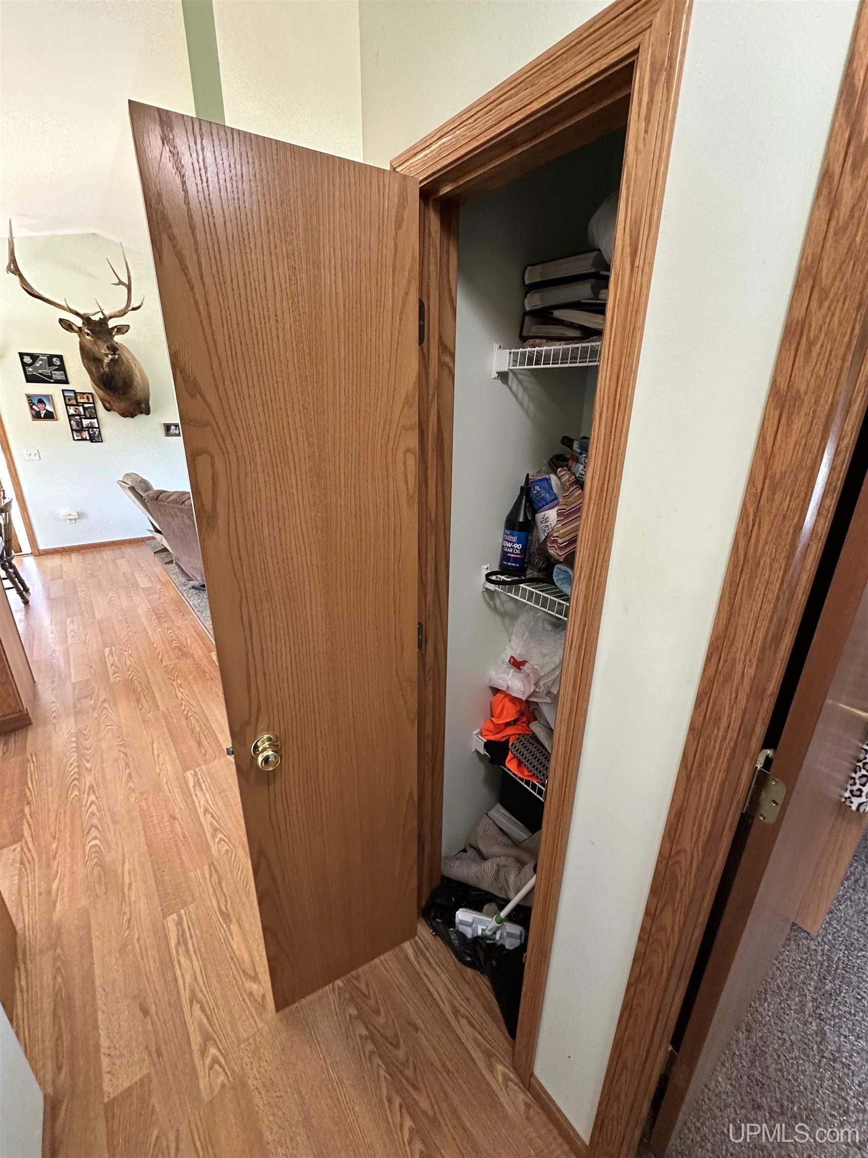 5583 Hallstrom Road Skandia, MI 49885 - Photo 16 of 64