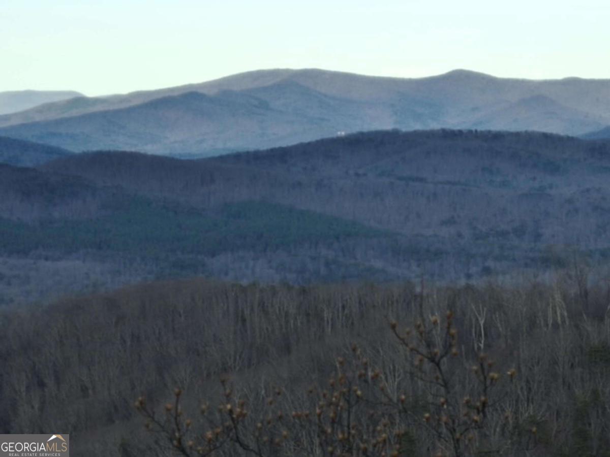 279 Andes Ridge Talking Rock, GA 30175 - Photo 27 of 37