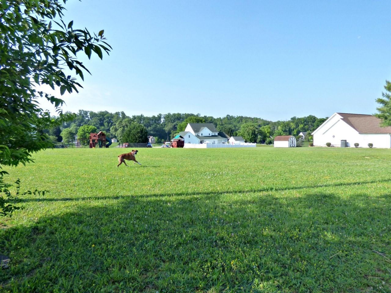 6 Terry Point Road Dandridge, TN 37725 - Photo 1 of 3 Gallery Image 1