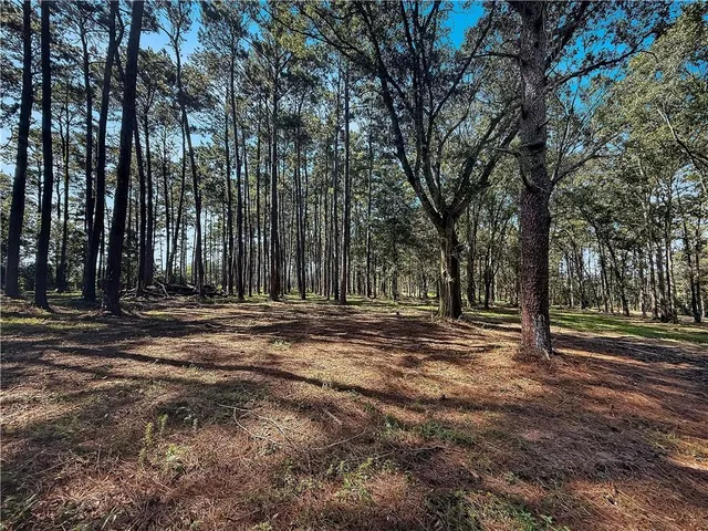 $24,000 | Lot 2 Highway 16, Amite, LA 70422