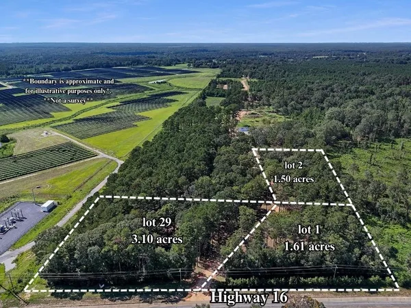 $24,000 | Lot 2 Highway 16, Amite, LA 70422