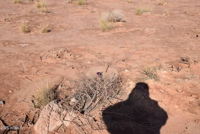a view of mountain view with wooden floor