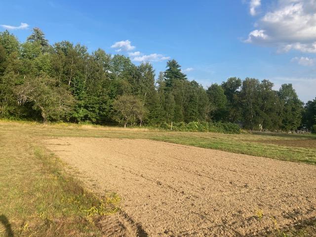 153 Holmes Road Dover-Foxcroft, ME 04426 - Photo 17 of 60 34 acres.17
