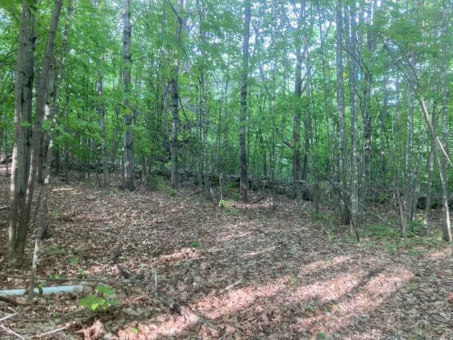 $199,900 | 153 Holmes Road, Dover Foxcroft, ME 04426