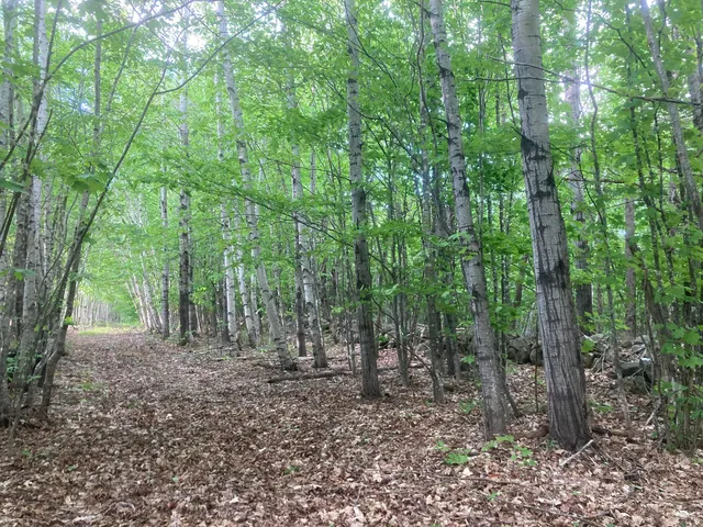 $199,900 | 153 Holmes Road, Dover Foxcroft, ME 04426