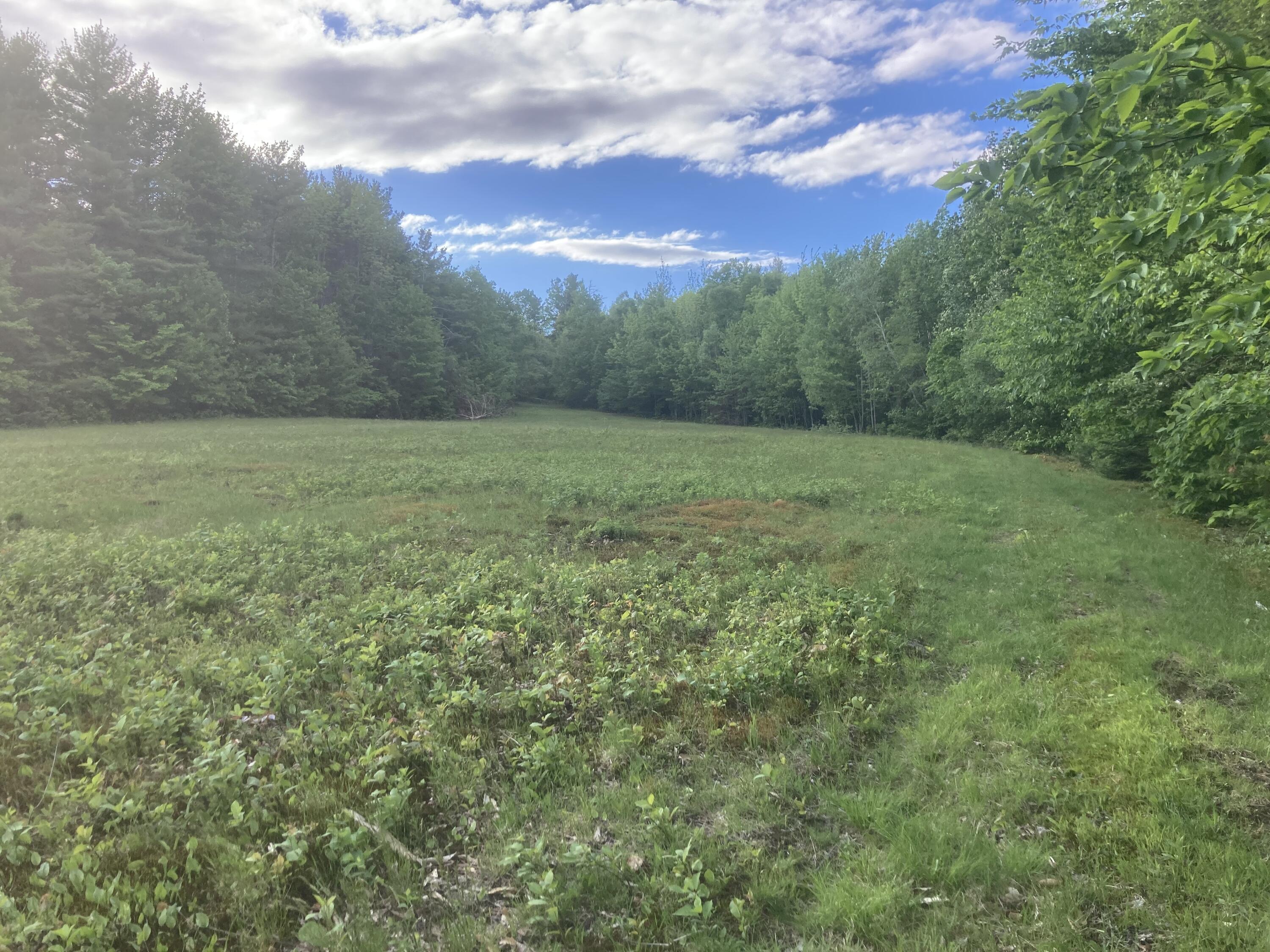 153 Holmes Road Dover-Foxcroft, ME 04426 - Photo 42 of 60 DC26DB5B-2549-49CA-B4A8-5AE453633F4C