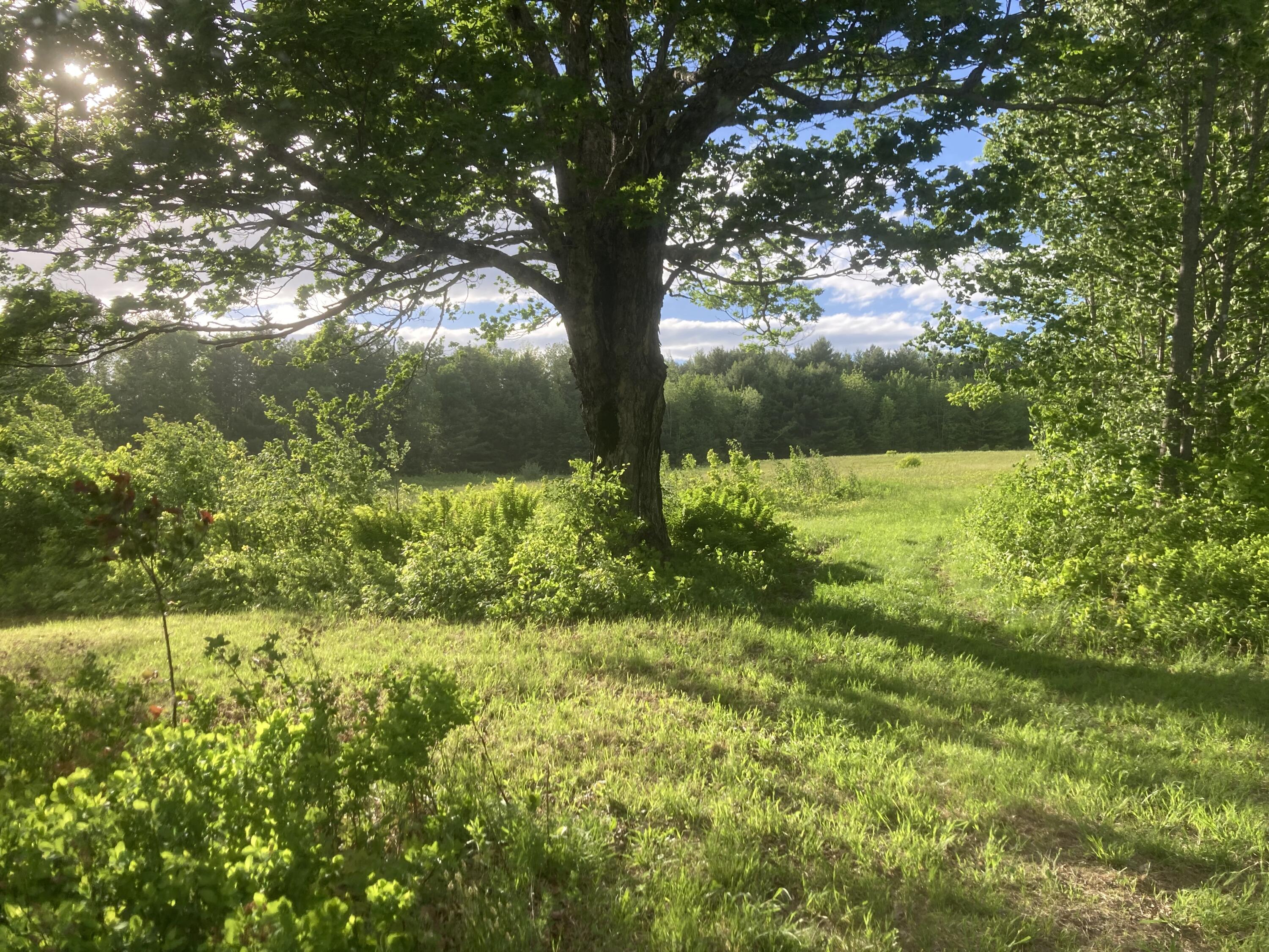 153 Holmes Road Dover-Foxcroft, ME 04426 - Photo 43 of 60 E2A501A3-BA92-44E5-808B-04D43AC380D4