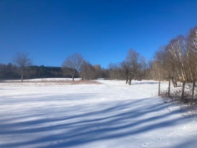 153 Holmes Road Dover-Foxcroft, ME 04426 - Photo 47 of 60 34 acres.5
