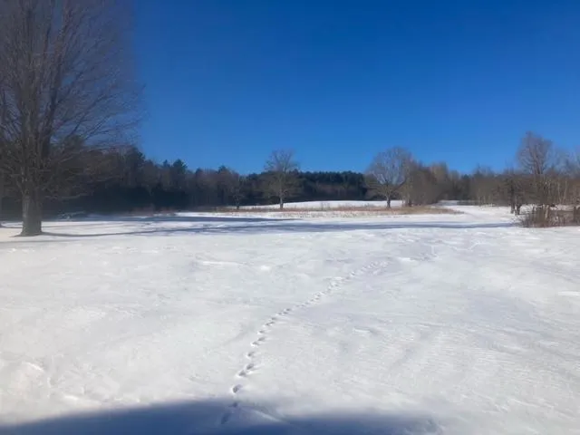 $199,900 | 153 Holmes Road, Dover Foxcroft, ME 04426