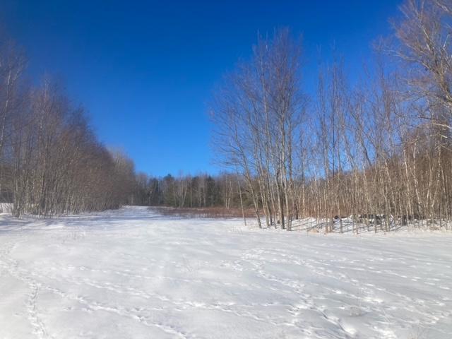 153 Holmes Road Dover-Foxcroft, ME 04426 - Photo 52 of 60 34 acres.4
