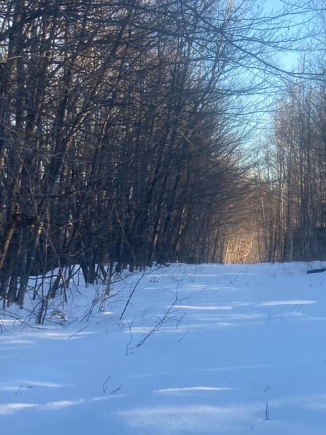 153 Holmes Road Dover-Foxcroft, ME 04426 - Photo 56 of 60 34 acres.10