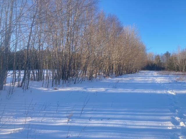 153 Holmes Road Dover-Foxcroft, ME 04426 - Photo 57 of 60 34 acres.11