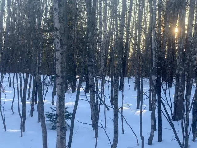 $199,900 | 153 Holmes Road, Dover Foxcroft, ME 04426