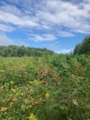 $199,900 | 153 Holmes Road, Dover Foxcroft, ME 04426