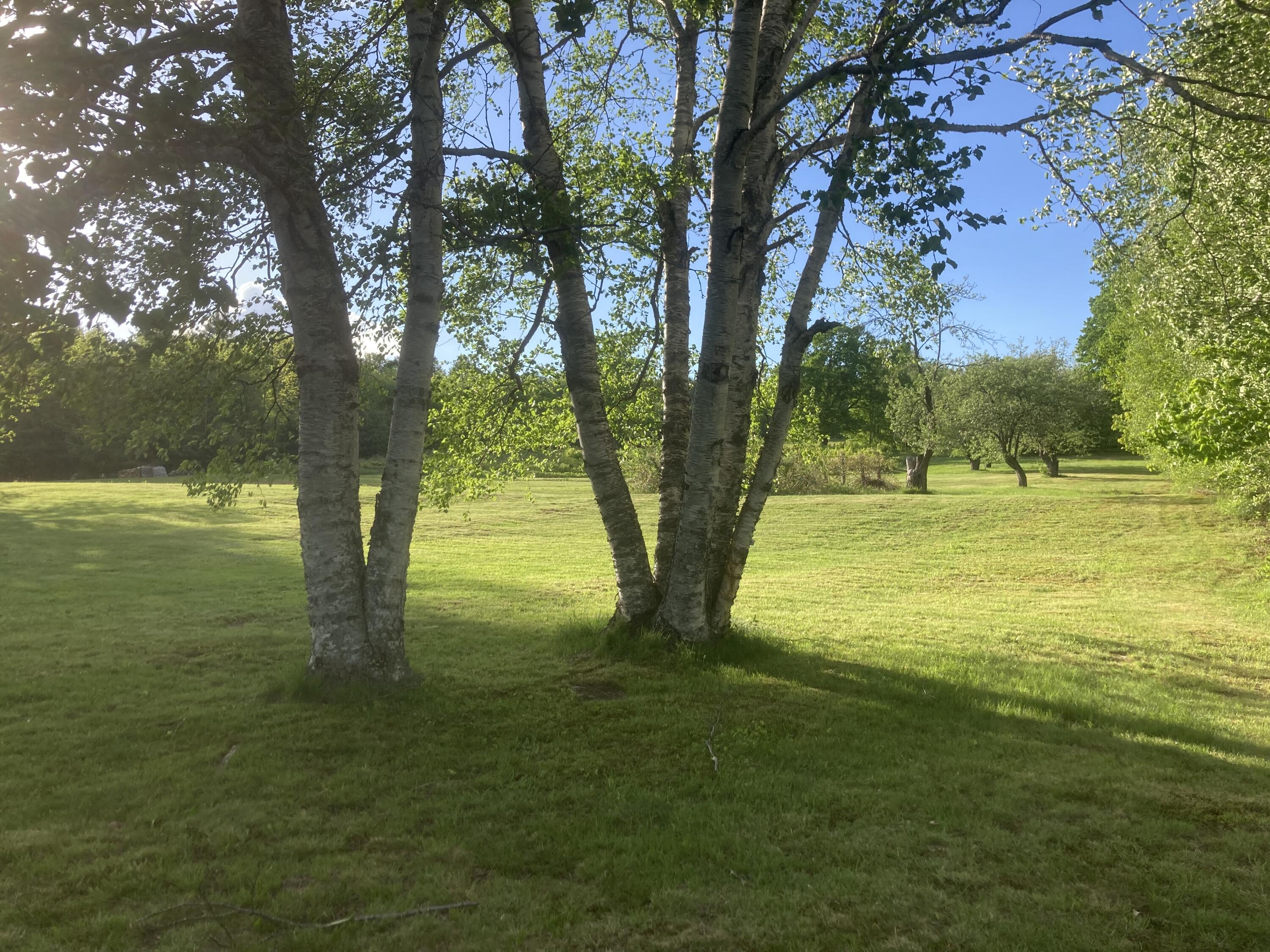 153 Holmes Road Dover-Foxcroft, ME 04426 - Photo 10 of 60 6D078FB3-CAA6-4287-AE2F-2CCB48072637