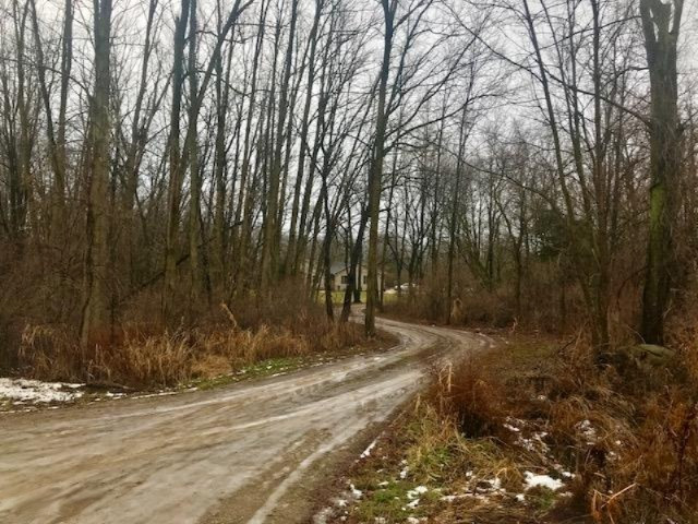 9695 West Chicago Road Allen, MI 49227 - Photo 11 of 65 IMG_1532