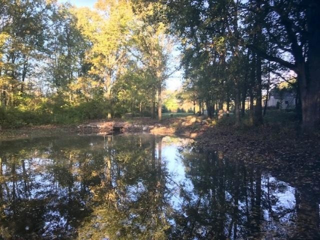 9695 West Chicago Road Allen, MI 49227 - Photo 14 of 65 a