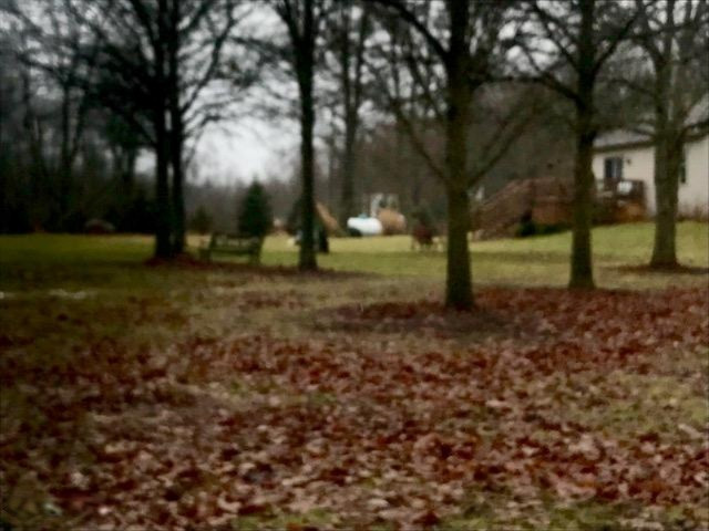 9695 West Chicago Road Allen, MI 49227 - Photo 17 of 65 IMG_1548