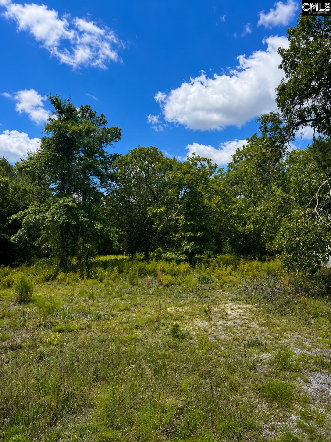 1778 Providence Road Orangeburg, SC 29118 - Photo 5 of 7