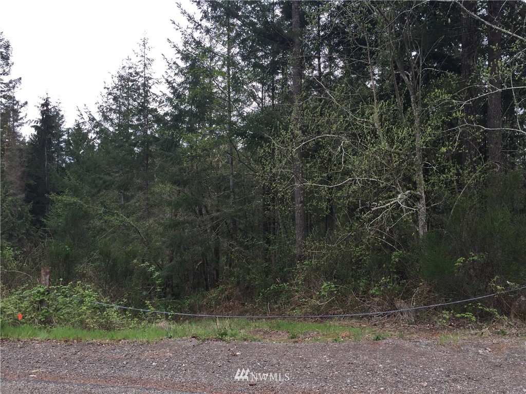 0 Lester Road Northwest Silverdale, WA 98383 - Photo 1 of 2 Gallery Image 1