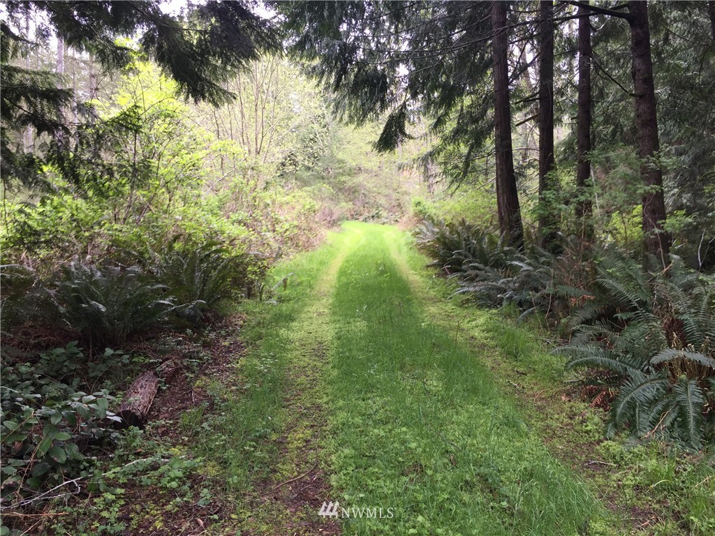 0 Lester Road Northwest Silverdale, WA 98383 - Photo 2 of 2 Gallery Image 2