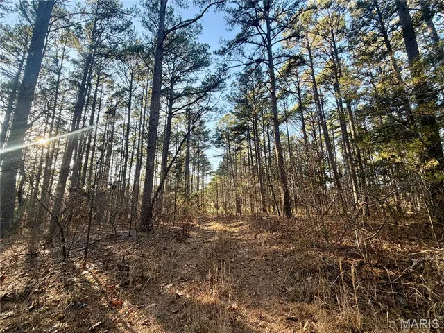 $110,000 | 0 County Road 6575, Salem, MO 65560