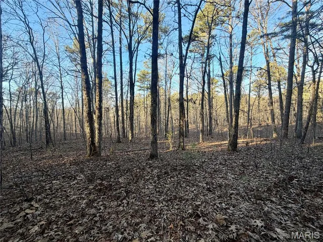 $110,000 | 0 County Road 6575, Salem, MO 65560