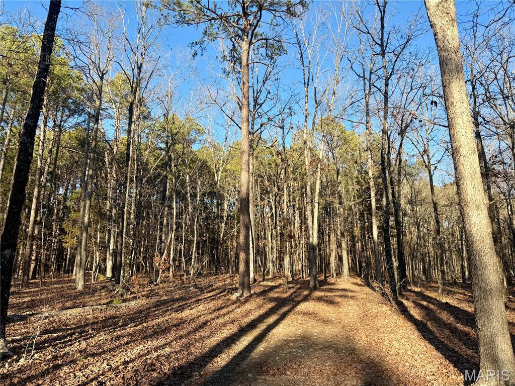 0 County Road 6575 Salem, MO 65560 - Photo 12 of 22