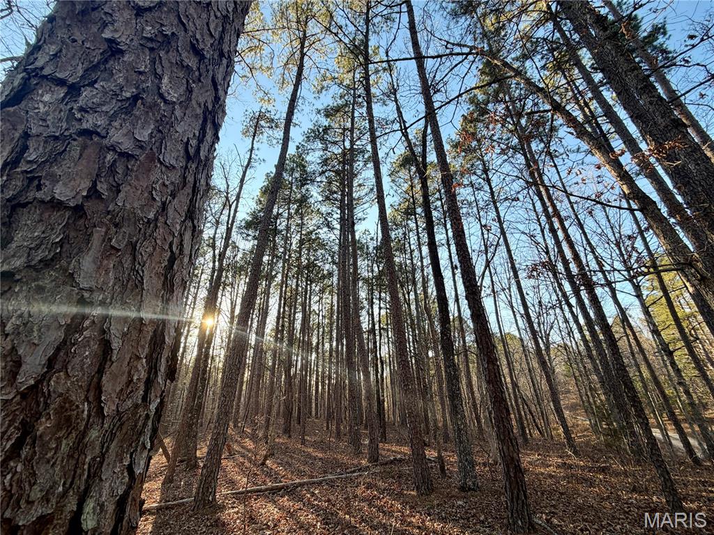 0 County Road 6575 Salem, MO 65560 - Photo 13 of 22