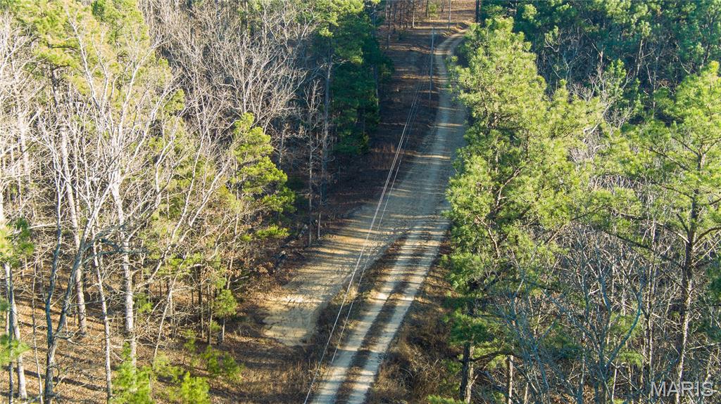 0 County Road 6575 Salem, MO 65560 - Photo 14 of 22