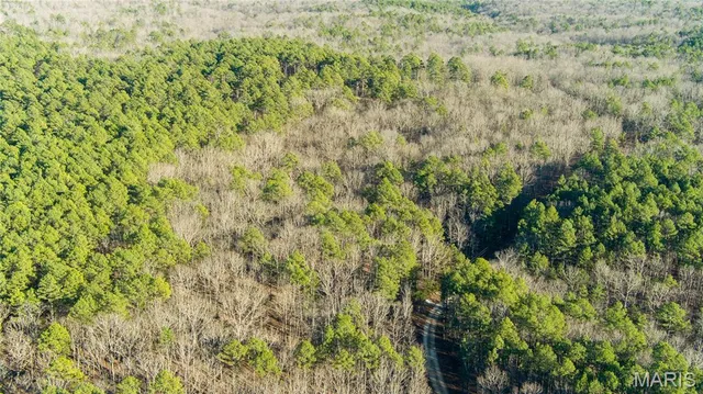 $110,000 | 0 County Road 6575, Salem, MO 65560