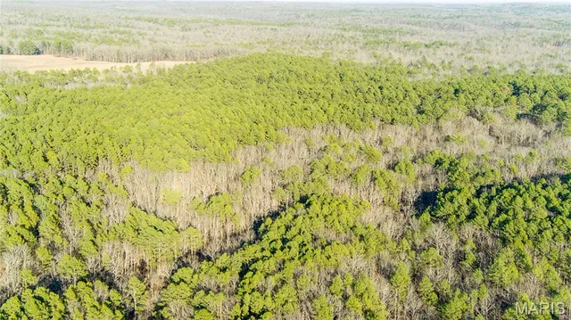 $110,000 | 0 County Road 6575, Salem, MO 65560