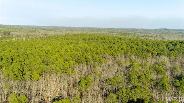 $110,000 | 0 County Road 6575, Salem, MO 65560