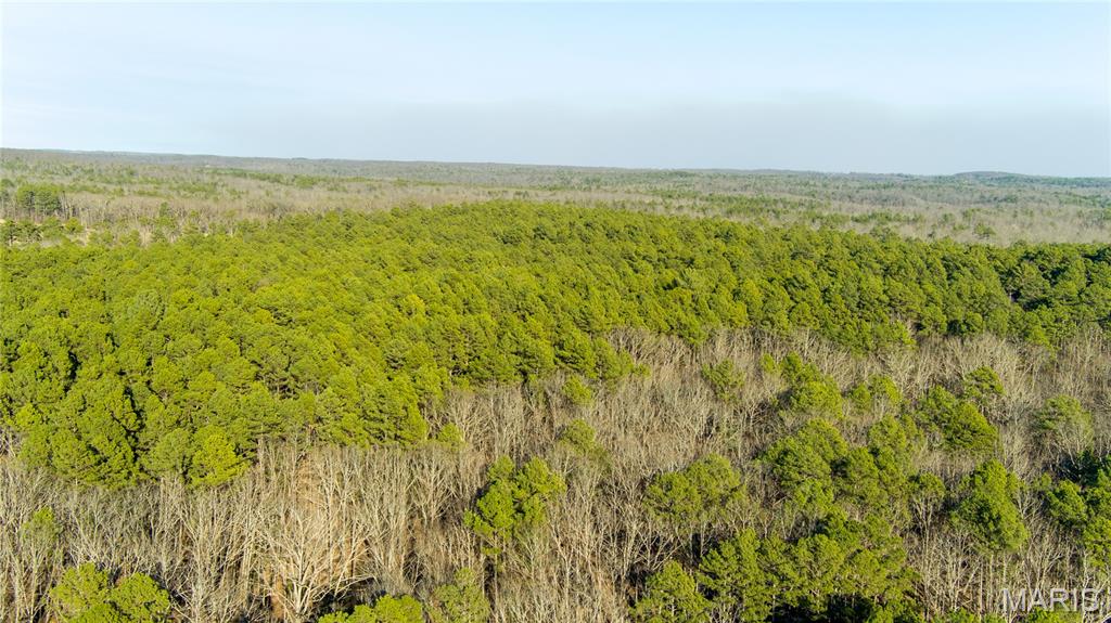 0 County Road 6575 Salem, MO 65560 - Photo 18 of 22