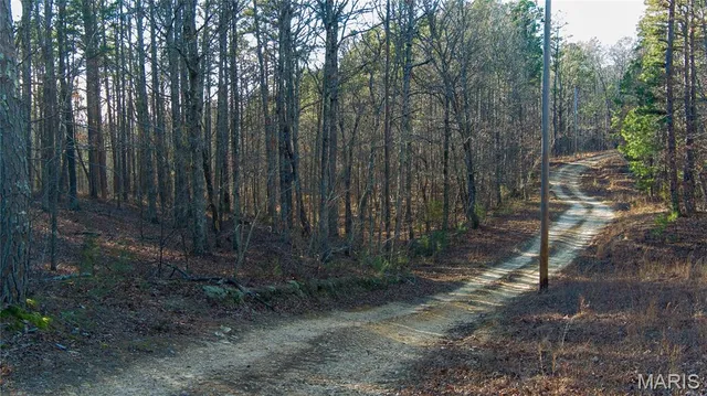 $110,000 | 0 County Road 6575, Salem, MO 65560