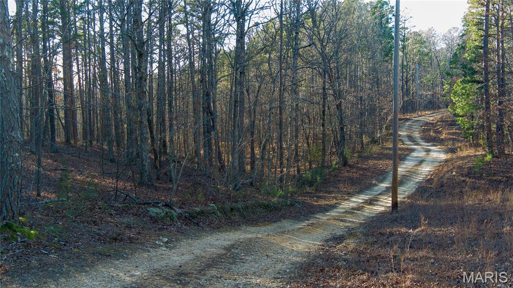 0 County Road 6575 Salem, MO 65560 - Photo 19 of 22