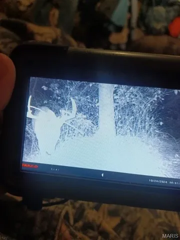 $110,000 | 0 County Road 6575, Salem, MO 65560