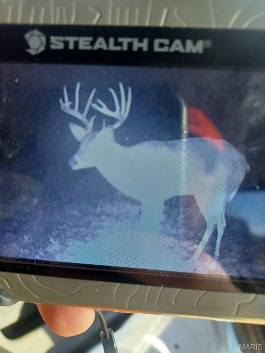 0 County Road 6575 Salem, MO 65560 - Photo 2 of 22