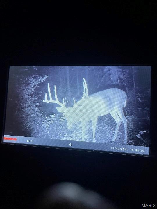 0 County Road 6575 Salem, MO 65560 - Photo 21 of 22