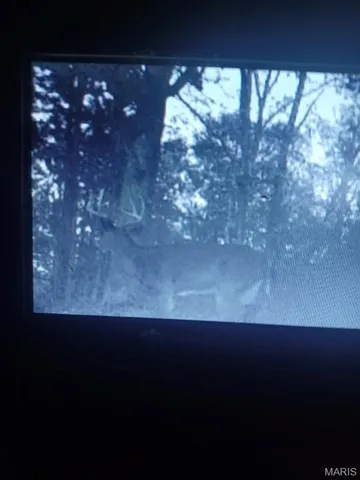 $110,000 | 0 County Road 6575, Salem, MO 65560